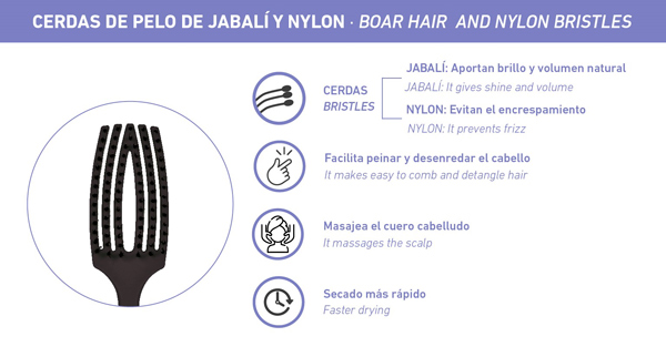 Características del cepillo desenredante Orión de Universidad de la Imagen