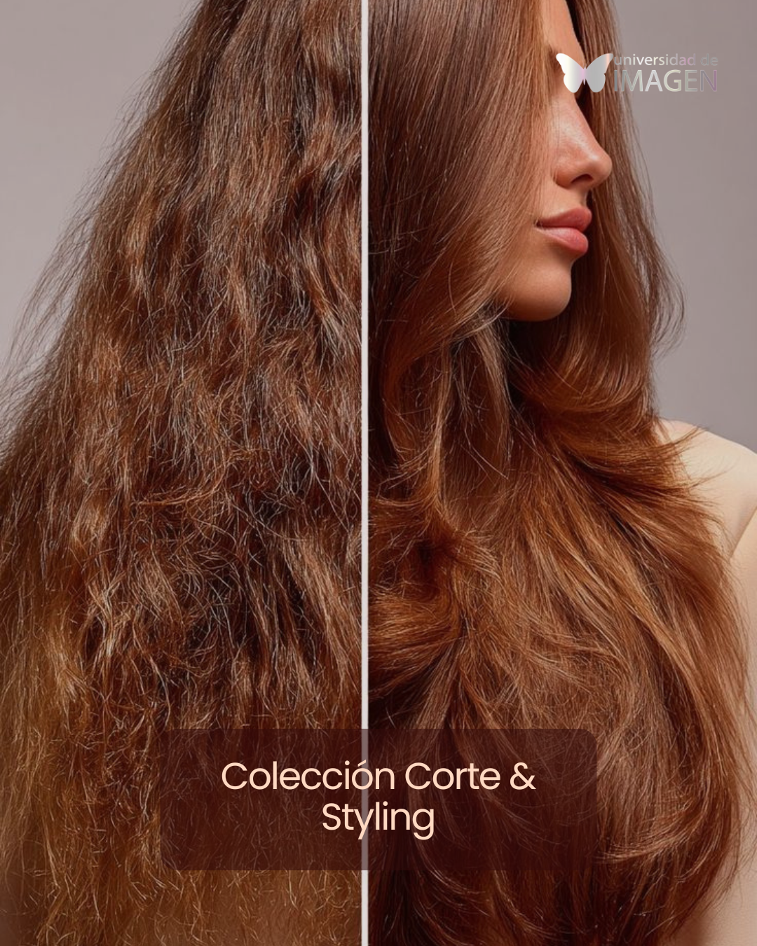 Curso de peluquería Corte & Styling de Universidad de la Imagen